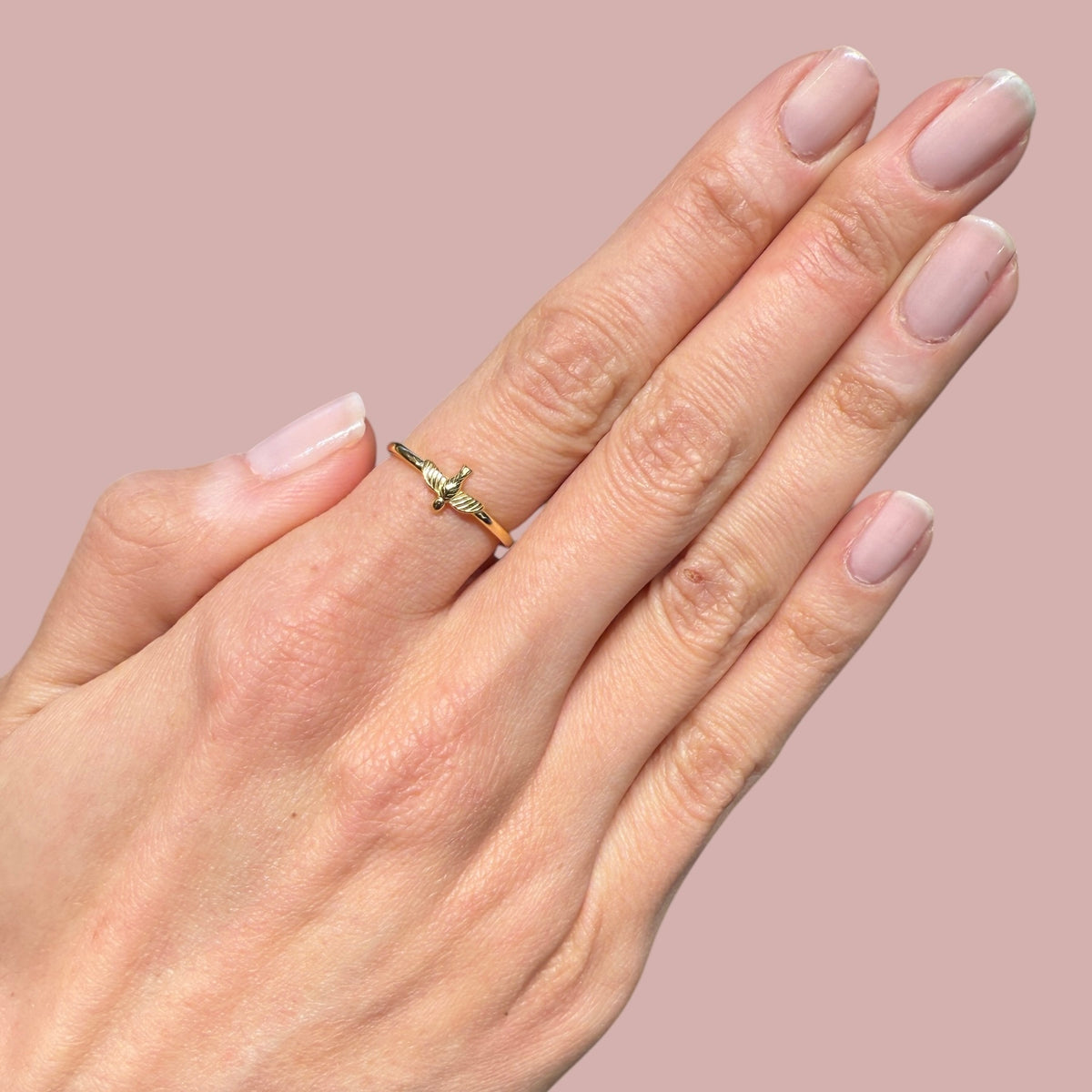 Plain Bird Rings