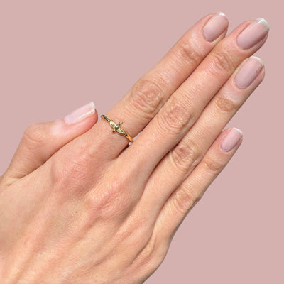 Plain Bird Rings