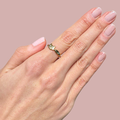 Cat & Fish Cz Rings