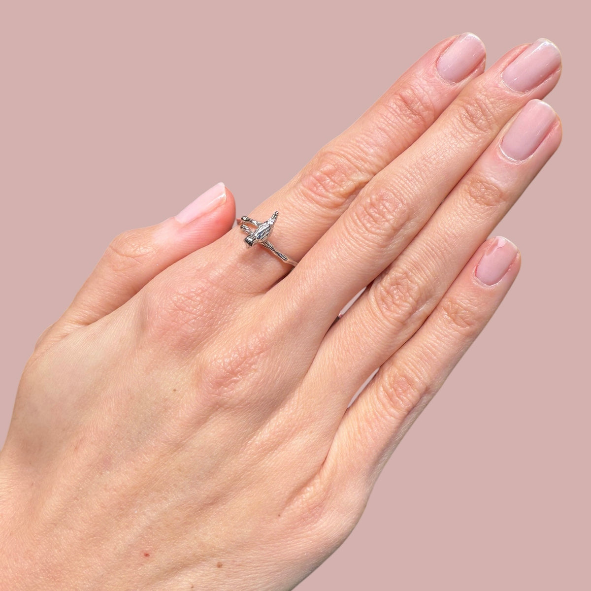 Adjustable Bird Rings