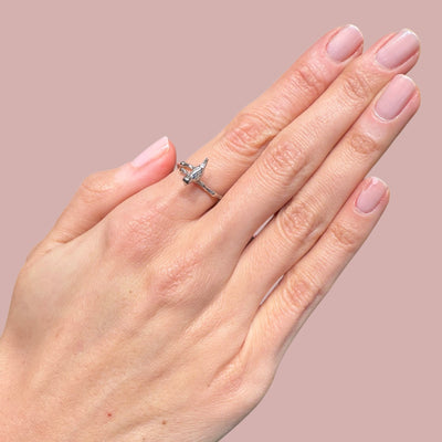 Adjustable Bird Rings