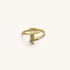 Adjustable Bird Rings