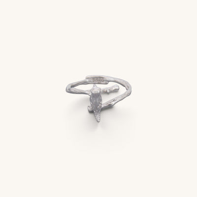 Adjustable Bird Rings