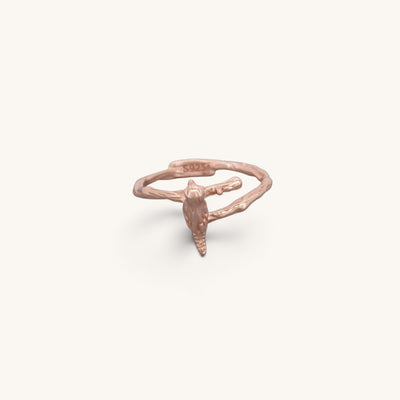 Adjustable Bird Rings