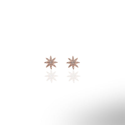 Star Sun Stud Earrings