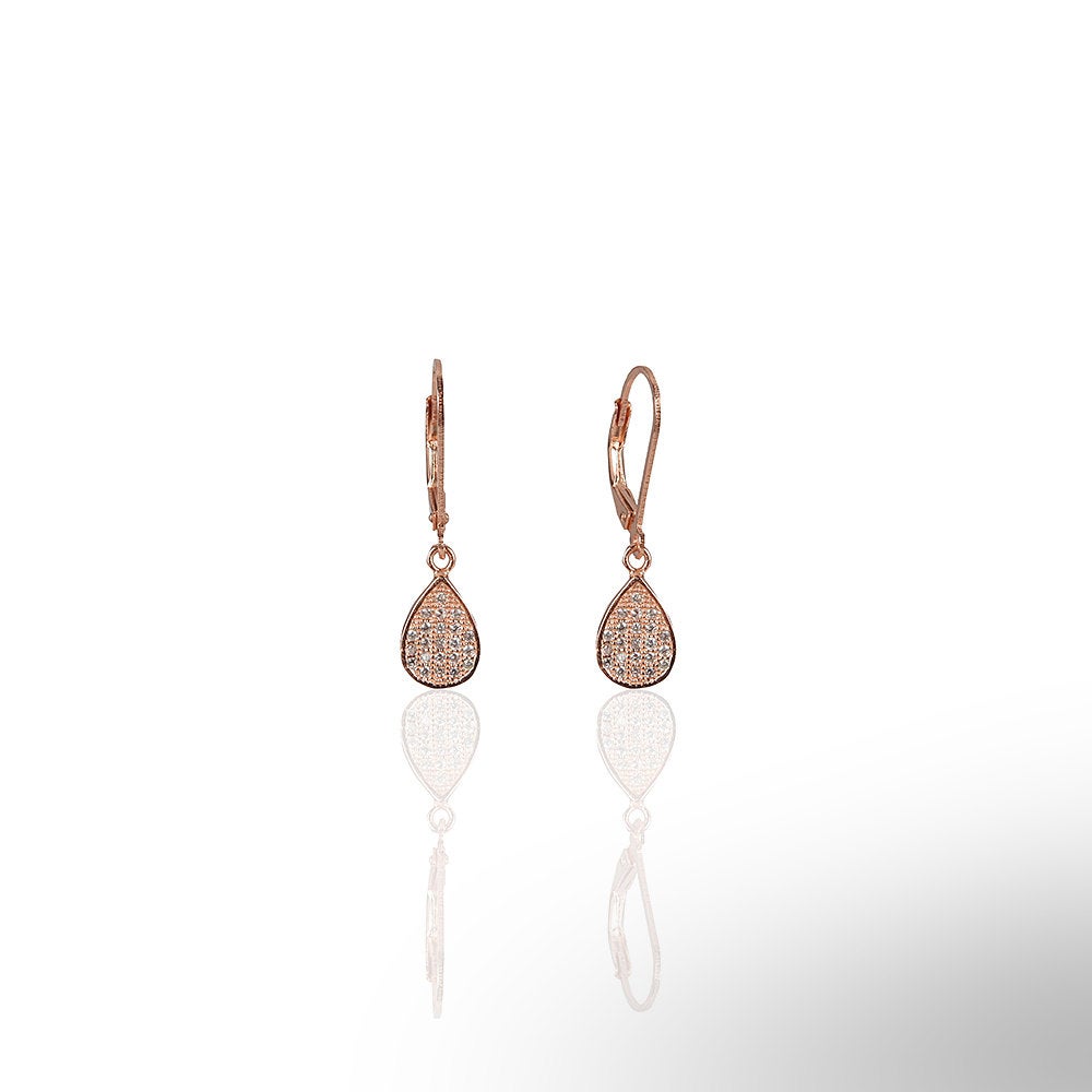Dainty Drop Dangle Earrings